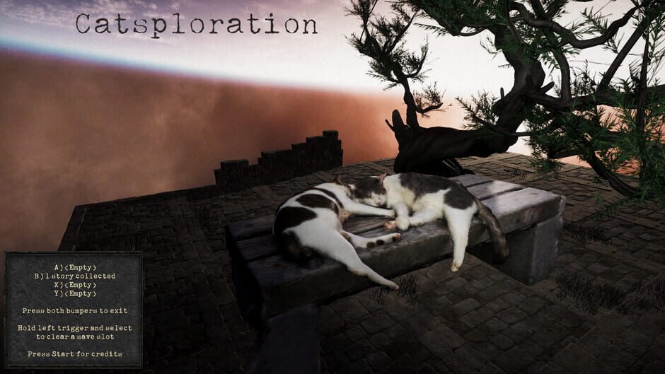 Capture de Catsploration