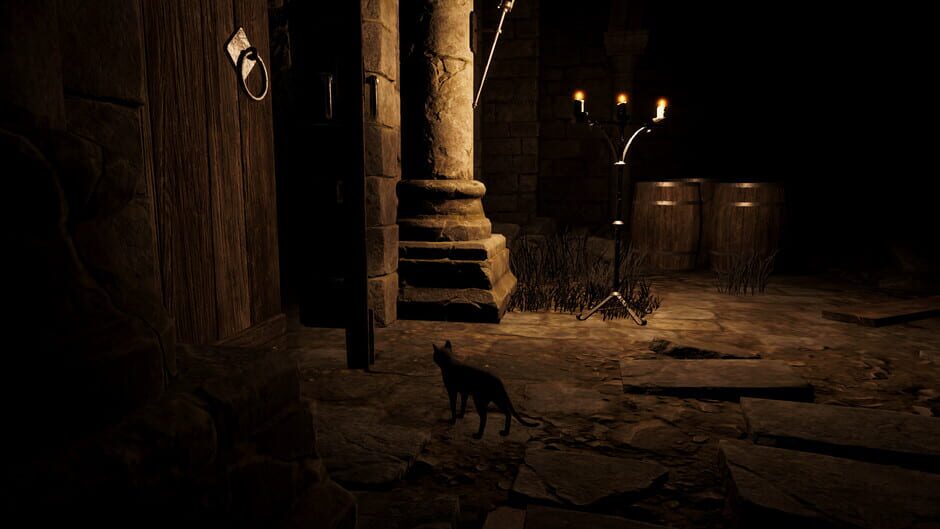 Capture de Catsploration