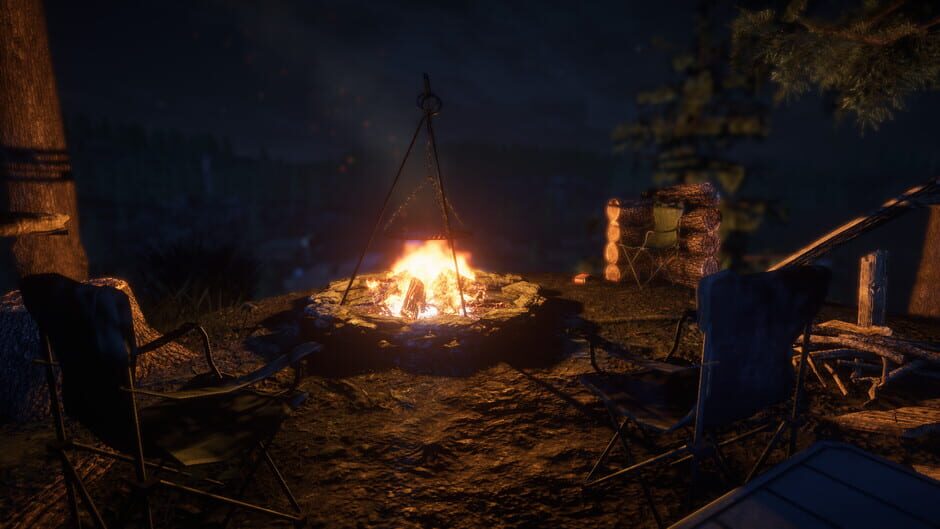 Capture de Survive the Nights
