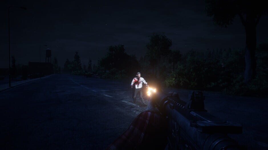 Capture de Survive the Nights