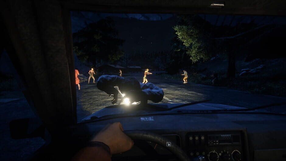 Capture de Survive the Nights