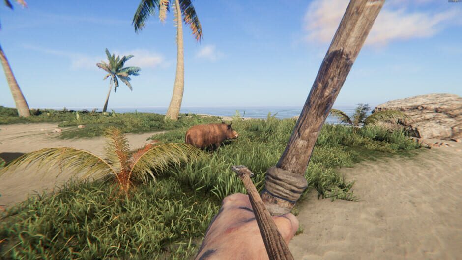 Capture de Project Castaway