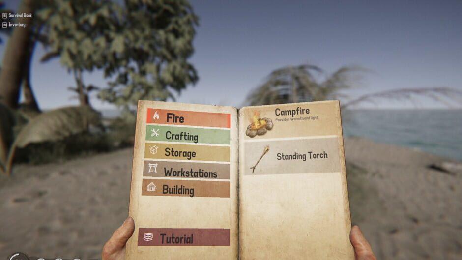 Capture de Project Castaway