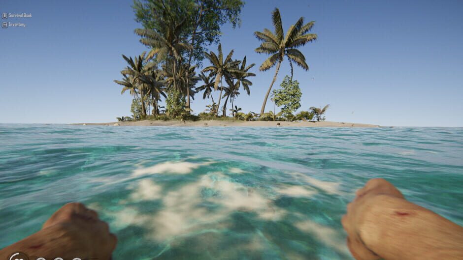 Capture de Project Castaway