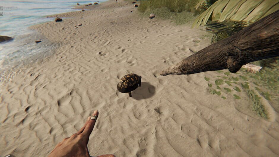 Capture de Project Castaway