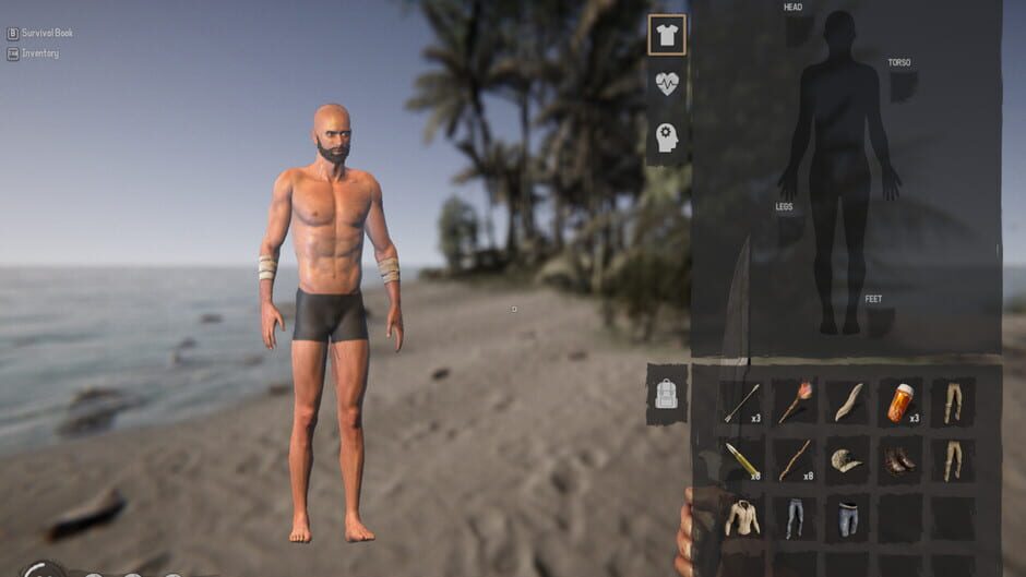 Capture de Project Castaway