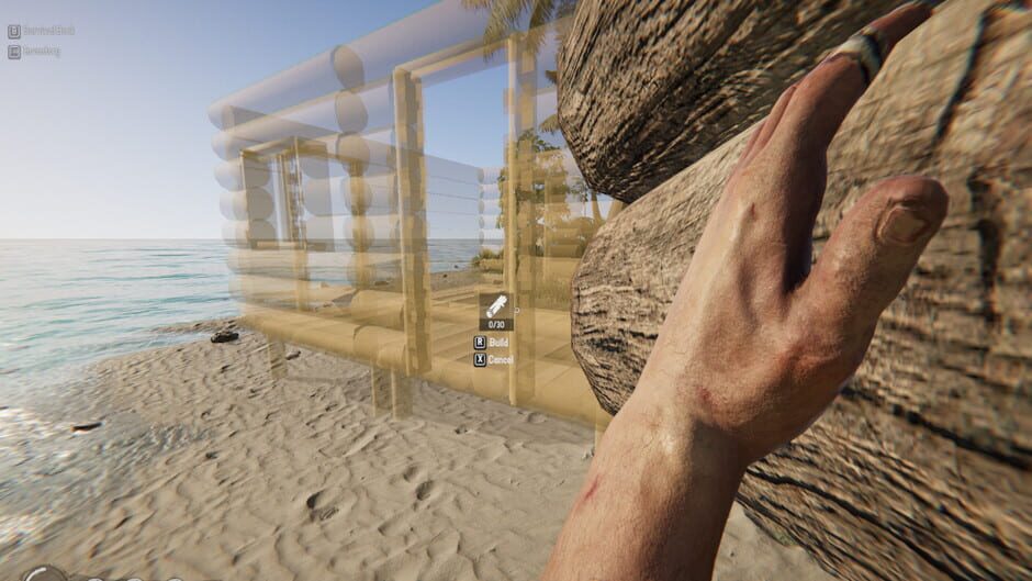 Capture de Project Castaway