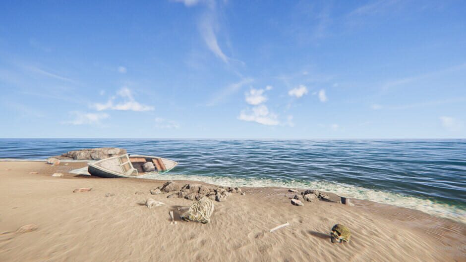 Capture de Project Castaway