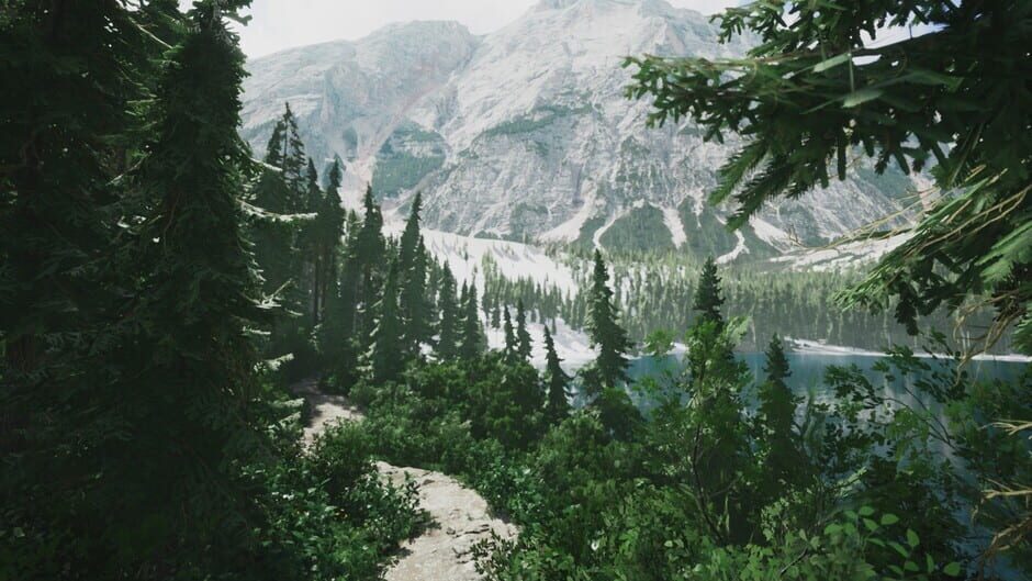 Capture de Lushfoil Photography Sim