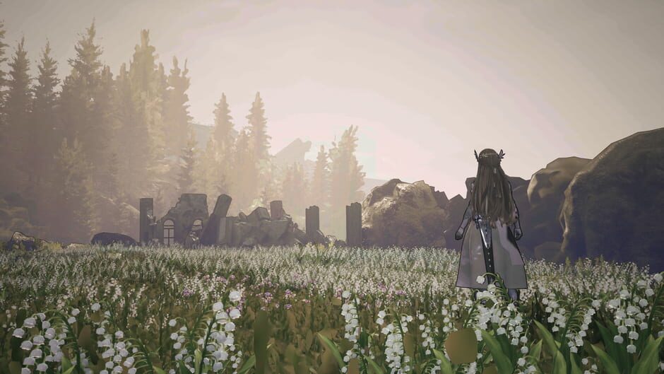 Capture de Valkyrie Elysium