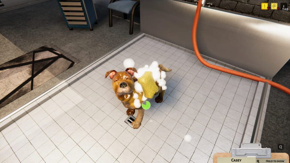 Capture d’Animal Shelter Simulator