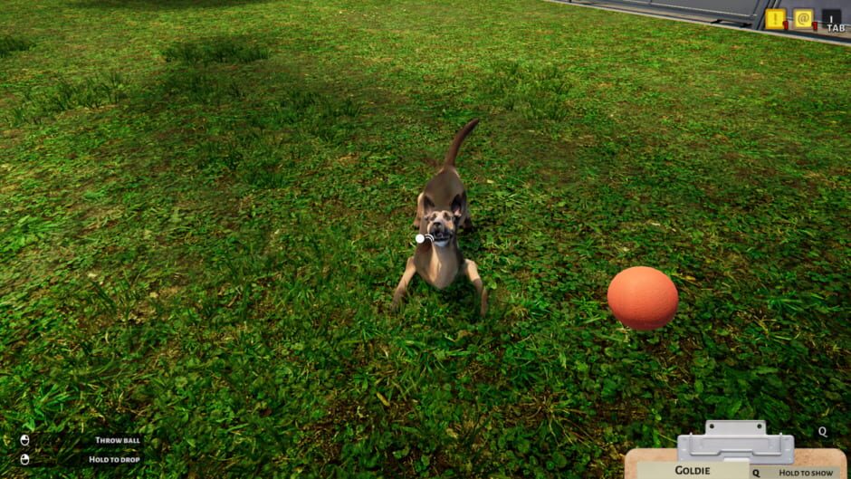 Capture d’Animal Shelter Simulator
