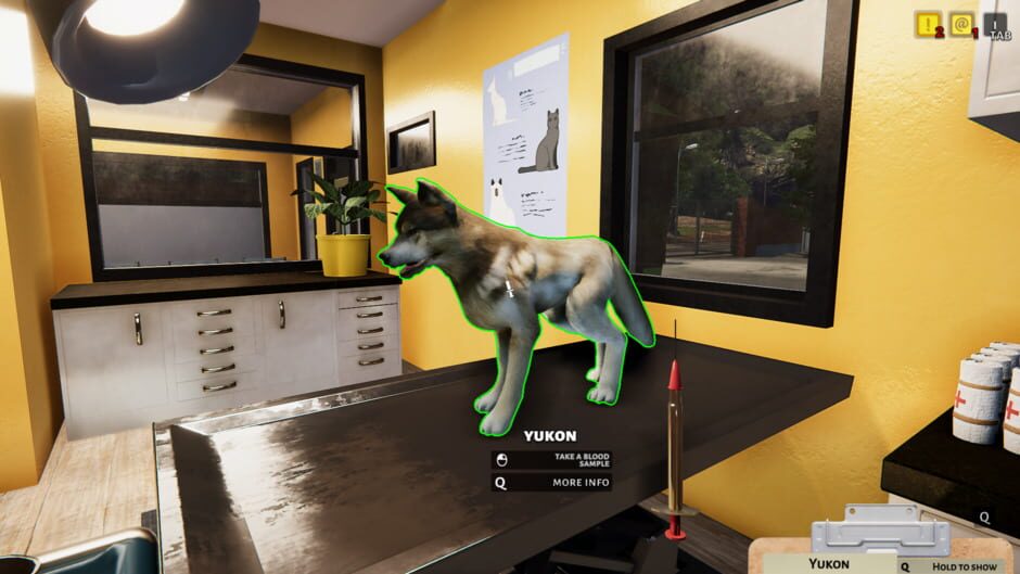 Capture d’Animal Shelter Simulator