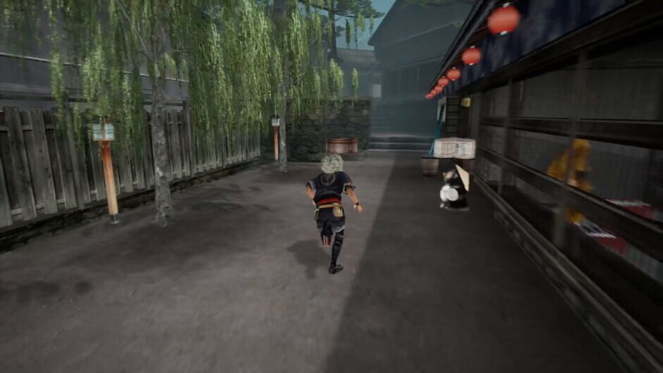 Capture de Kamiwaza: Way of the Thief