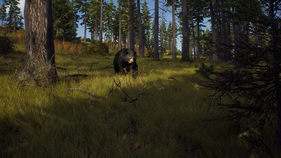 Capture de Way of the Hunter