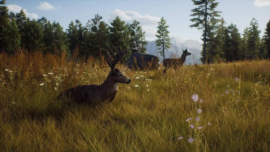 Capture de Way of the Hunter