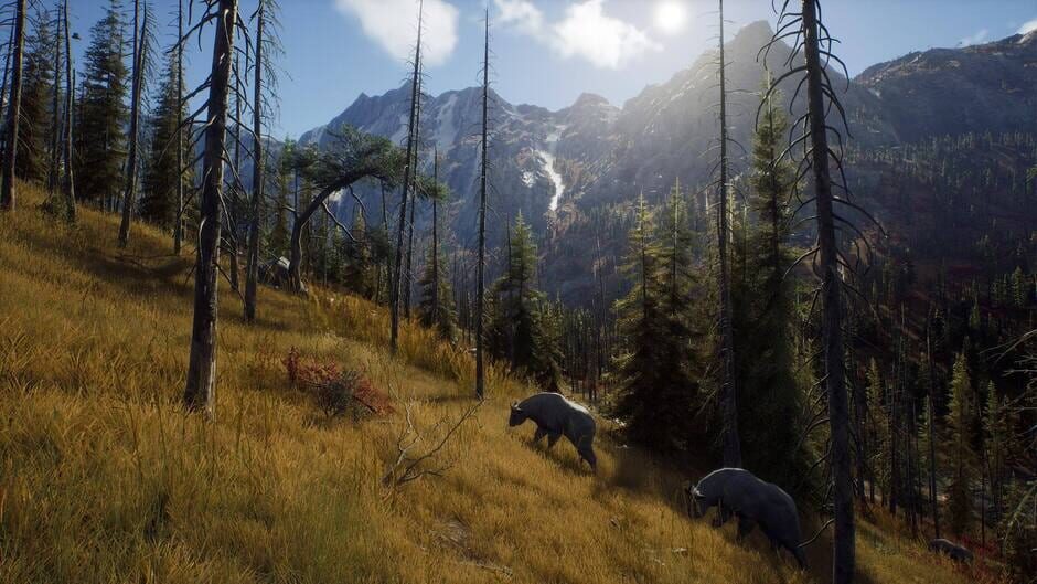 Capture de Way of the Hunter