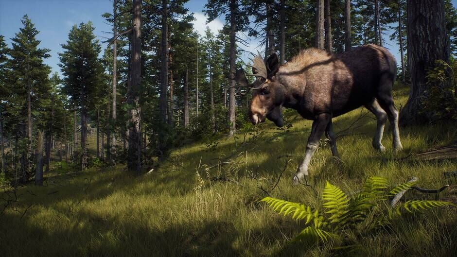 Capture de Way of the Hunter