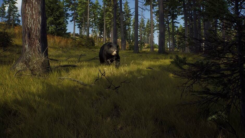 Capture de Way of the Hunter