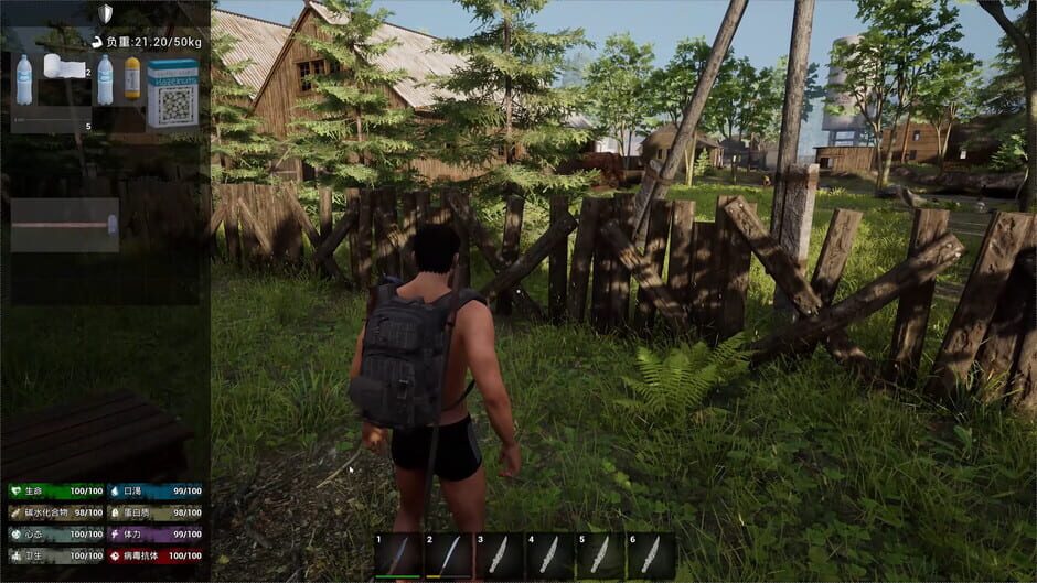 Capture de No One Survived