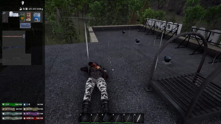 Capture de No One Survived
