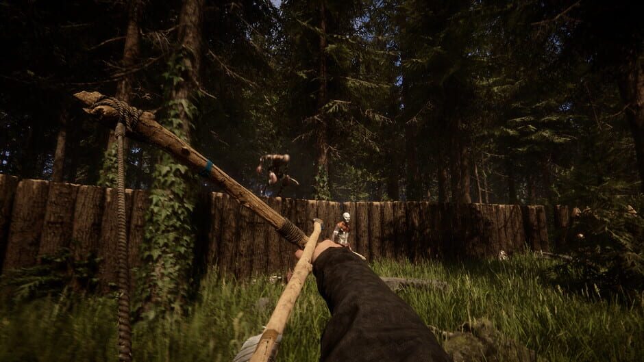 Capture de Sons of the Forest