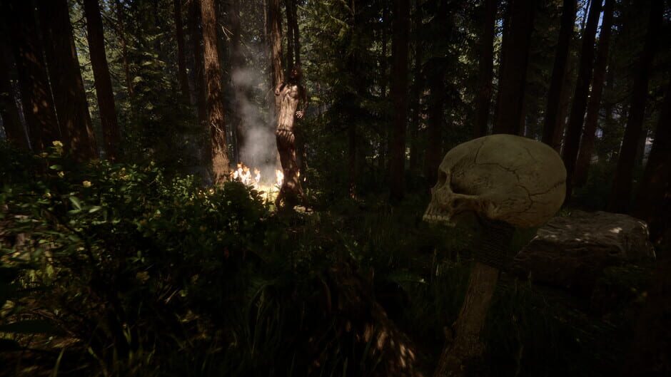 Capture de Sons of the Forest