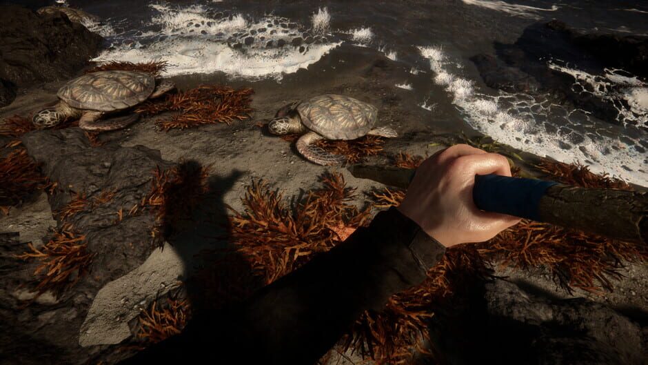 Capture de Sons of the Forest