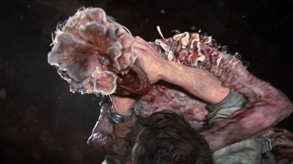 Capture de The Last of Us Part I