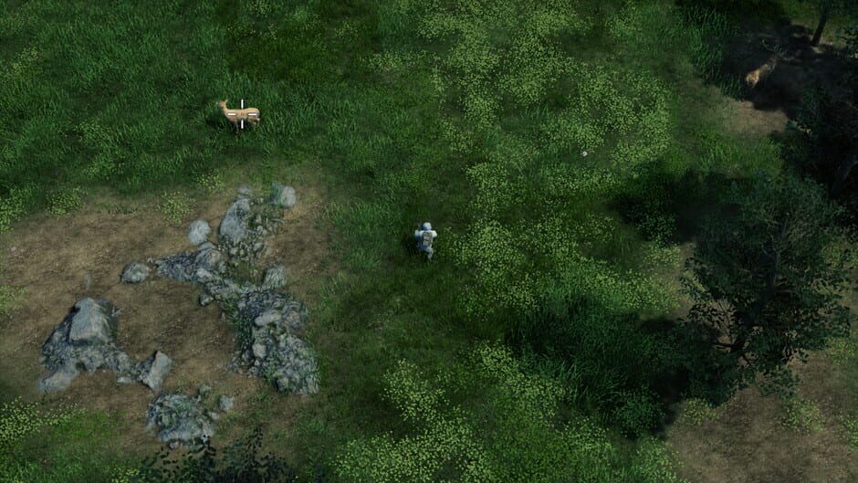 Capture de HumanitZ
