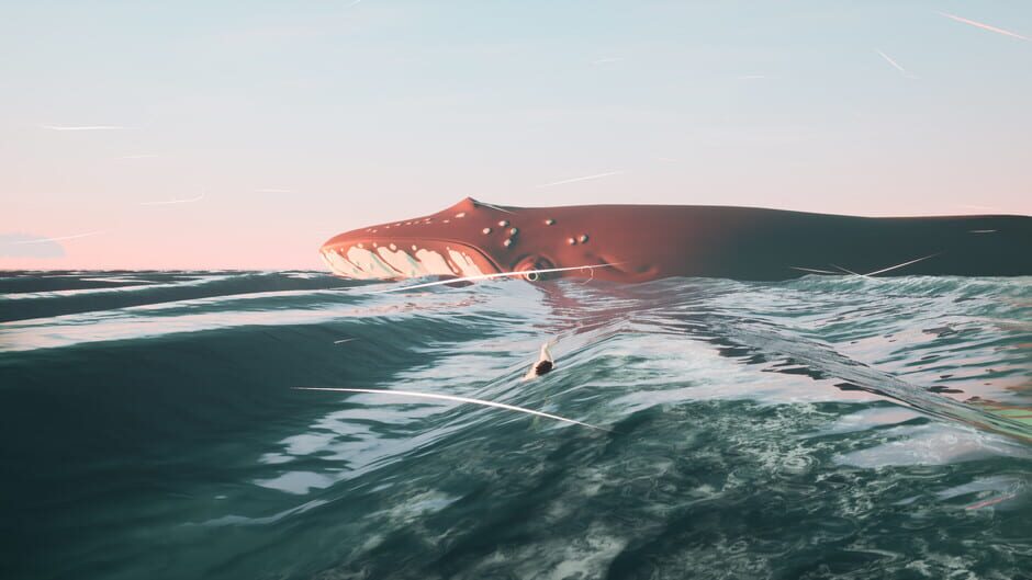 Capture de Toroa: Skycall