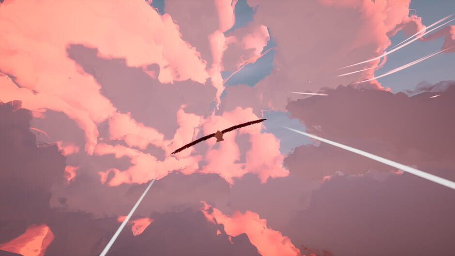 Capture de Toroa: Skycall