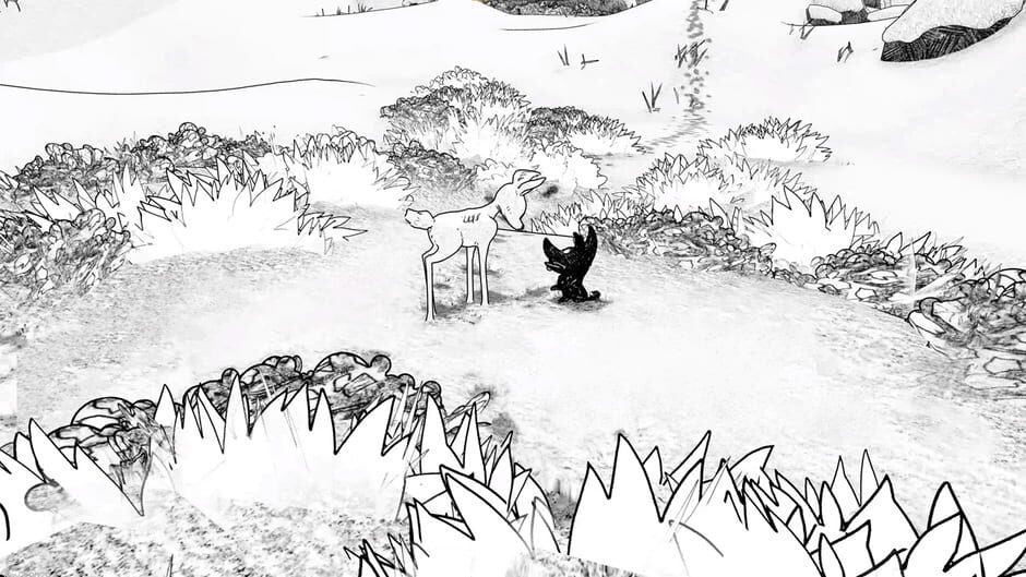 Capture de Blanc