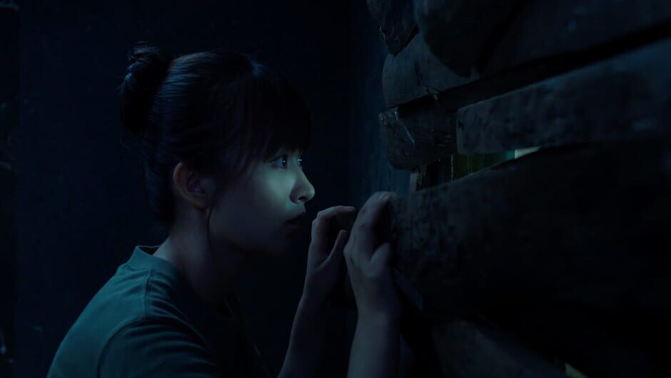 Capture de Breakout 13