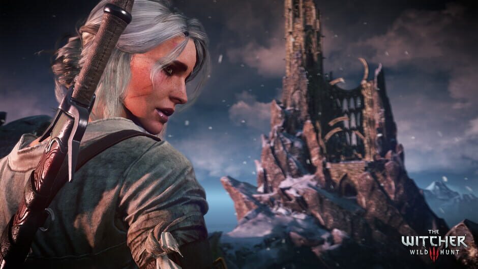 Capture de The Witcher 3: Wild Hunt