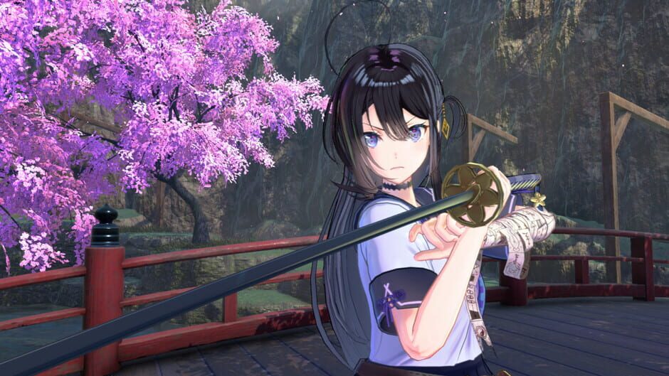 Capture de Samurai Maiden