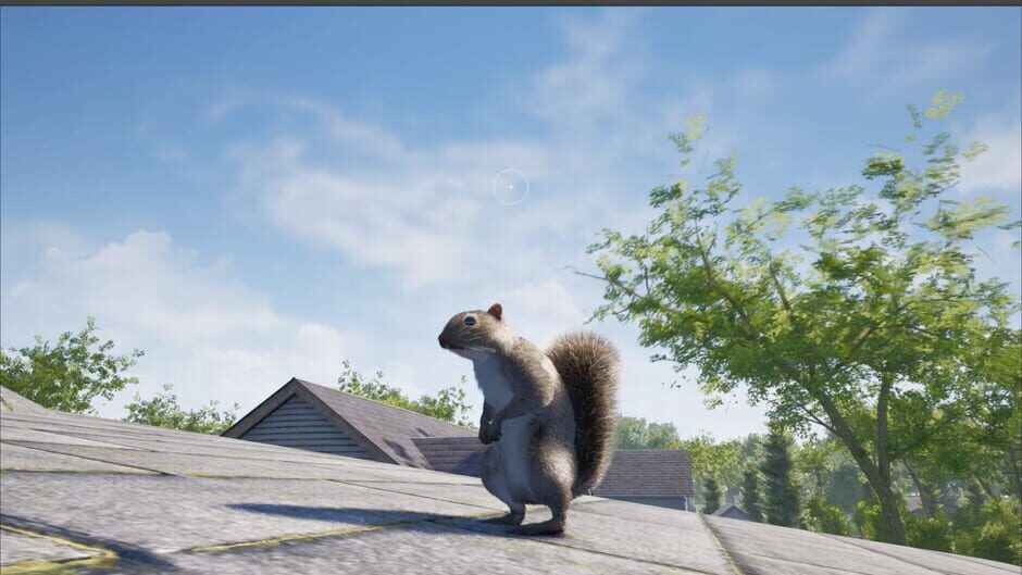 Capture de Squirrel with a Gun