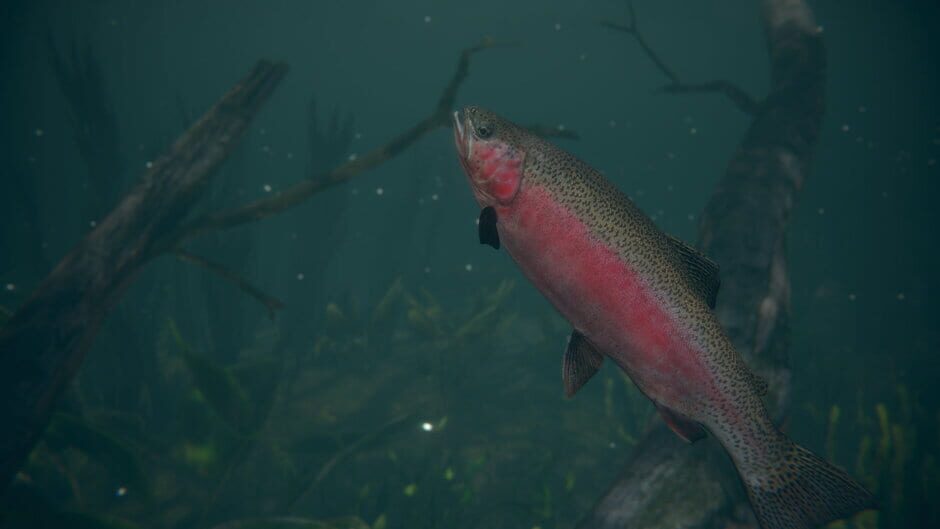 Capture d’Ultimate Fishing Simulator 2