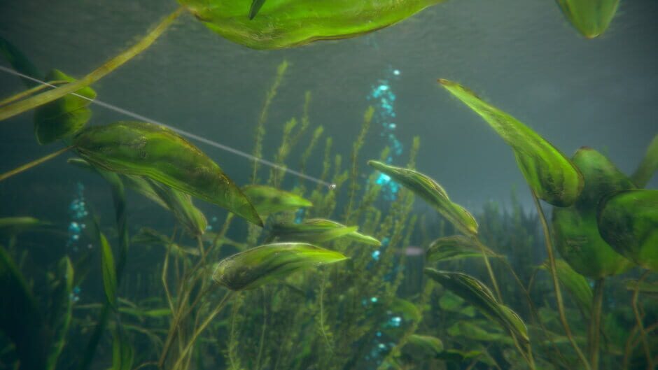 Capture d’Ultimate Fishing Simulator 2