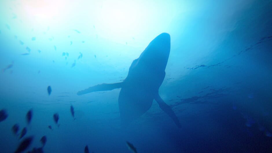 Capture d’Under the Waves