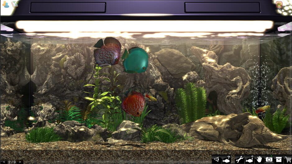 Capture de Snapshot Aquarium