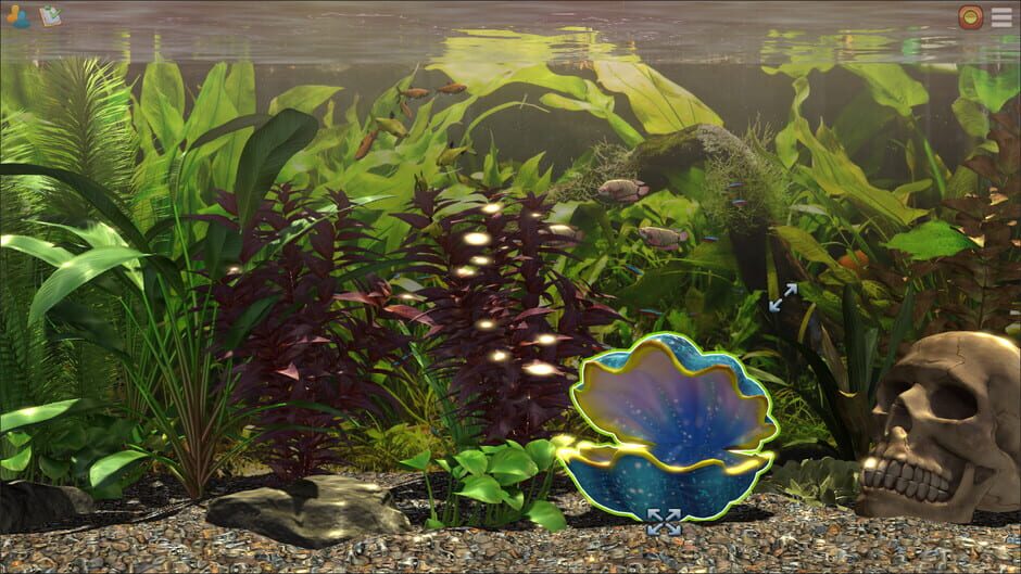 Capture de Snapshot Aquarium