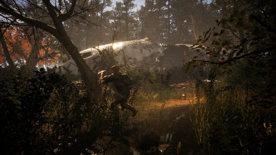 Capture de Survive the Fall
