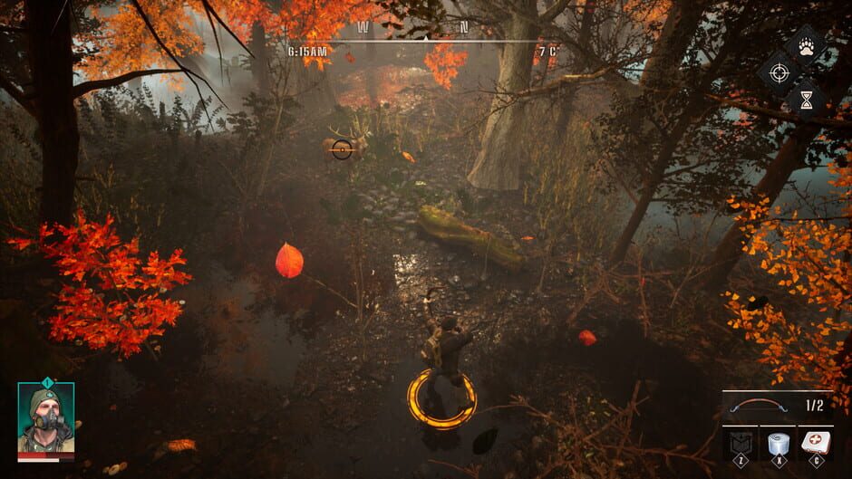 Capture de Survive the Fall