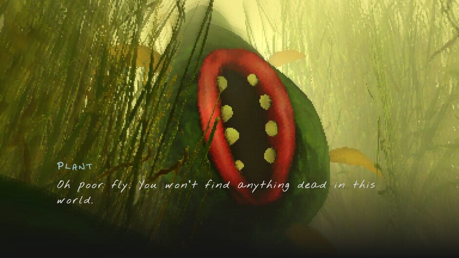 Capture de The Hungry Fly