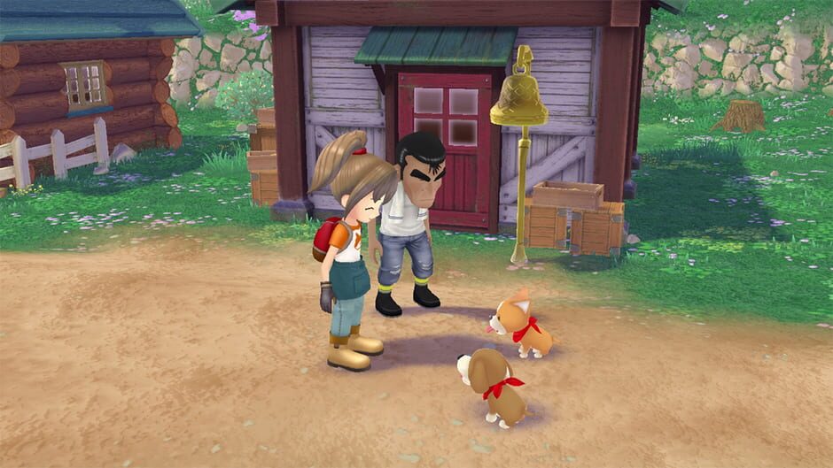 Capture de Story of Seasons: A Wonderful Life