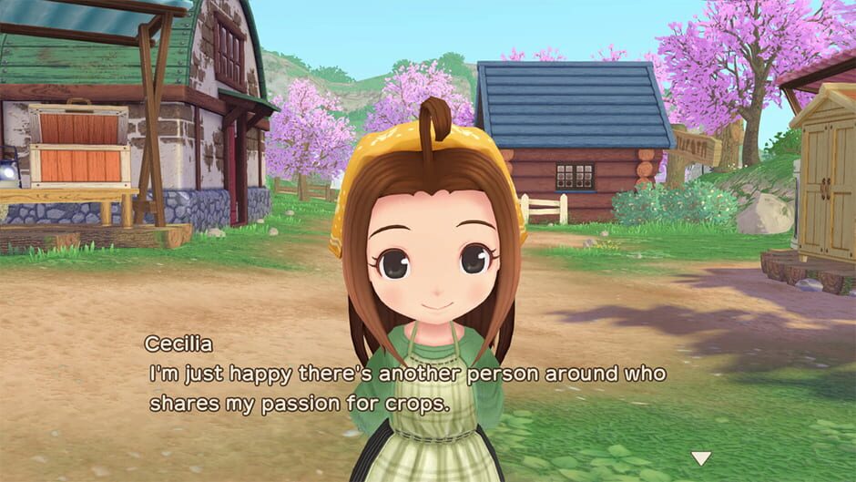 Capture de Story of Seasons: A Wonderful Life