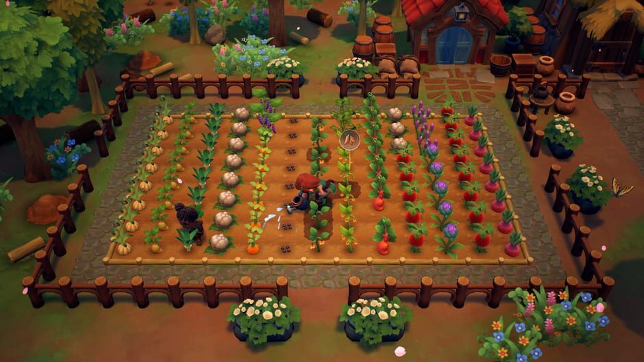 Capture de Fae Farm