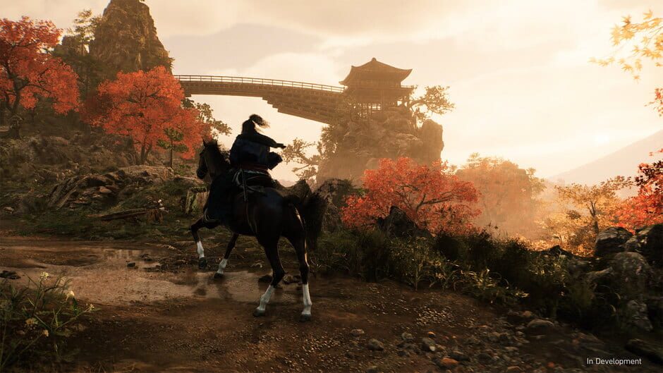 Capture de Rise of the Ronin
