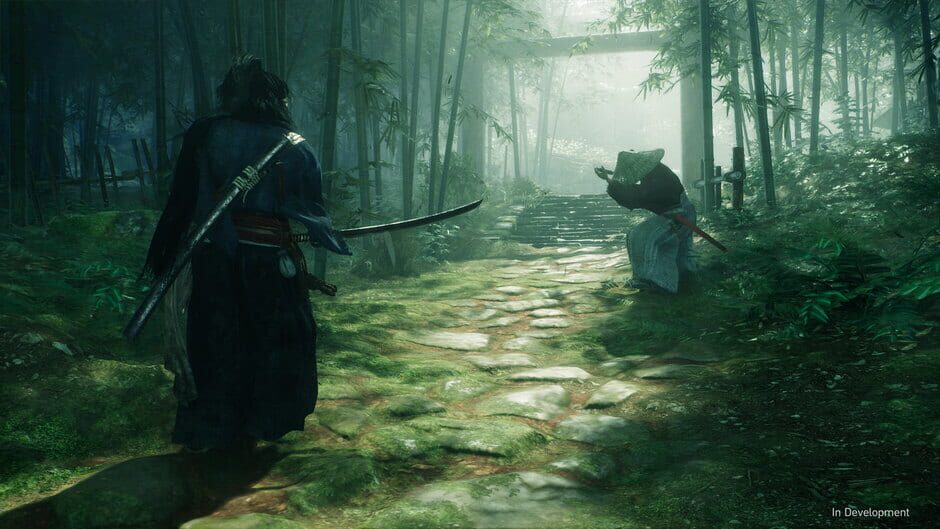 Capture de Rise of the Ronin